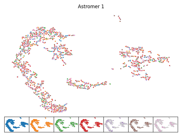Astromer-1 UMAP Visualization