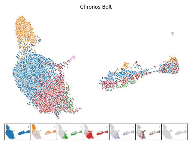 Chronos Bolt Tiny UMAP Visualization