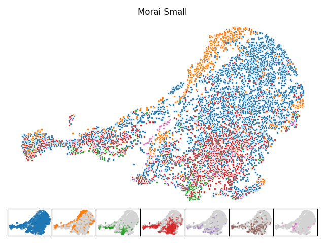 Moirai Small UMAP Visualization